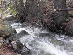 The creek [mon may 25 12:36:21 mdt 2009]